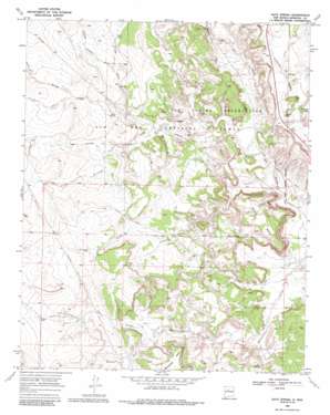 Ojito Spring USGS topographic map 35106e8
