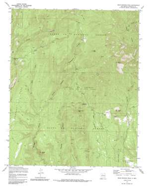 Bear Springs Peak USGS topographic map 35106f5