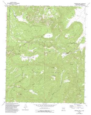 Redondo Peak USGS topographic map 35106g5