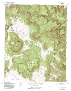 Valle Toledo USGS topographic map 35106h4