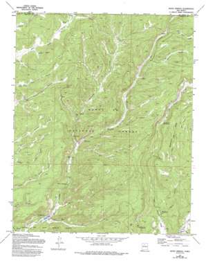 Valle San Antonio USGS topographic map 35106h6
