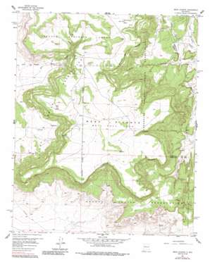 Mesa Gigante USGS topographic map 35107a2