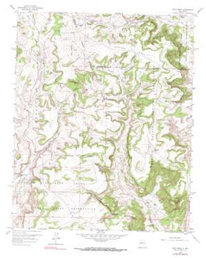 Arch Mesa USGS topographic map 35107b2