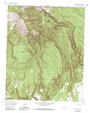 Mount Taylor topo map