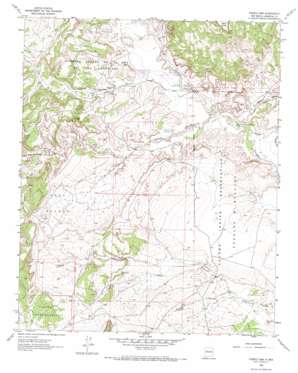 Puerco Dam USGS topographic map 35107c1