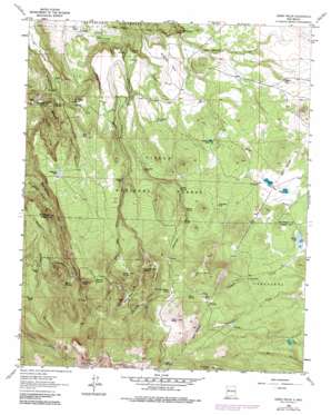 Cerro Pelon USGS topographic map 35107c5