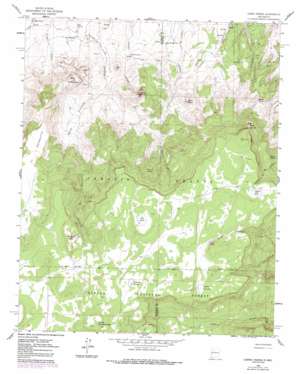 Cerro Parido USGS topographic map 35107e3