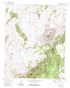Mesa Cortada USGS topographic map 35107e4