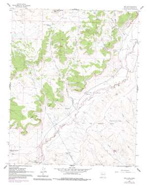 San Luis USGS topographic map 35107f1