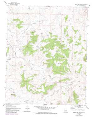 Mesita Del Gavilan USGS topographic map 35107f4