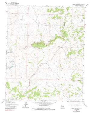 Orphan Annie Rock USGS topographic map 35107f7