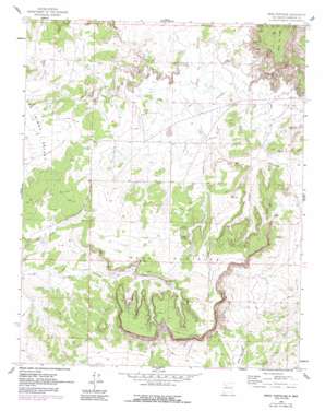 Mesa Portales USGS topographic map 35107h1