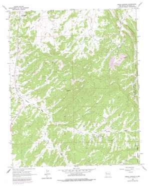 Bread Springs USGS topographic map 35108d6