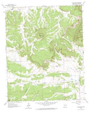 Hosta Butte USGS topographic map 35108e2