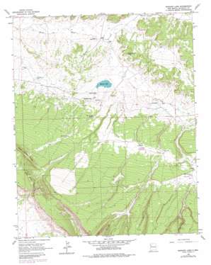Mariano Lake topo map