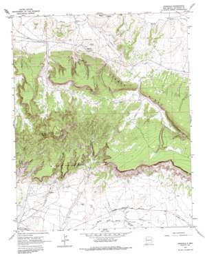 Pinedale topo map
