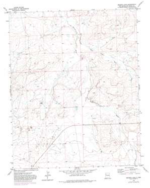 Becenti Lake USGS topographic map 35108g1