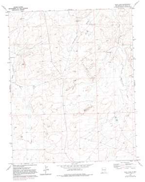 Milk Lake USGS topographic map 35108h2