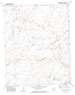 Standing Rock Nw topo map