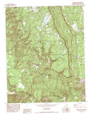 Chuska Peak USGS topographic map 35108h7
