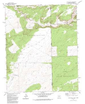 Chafin Well topo map