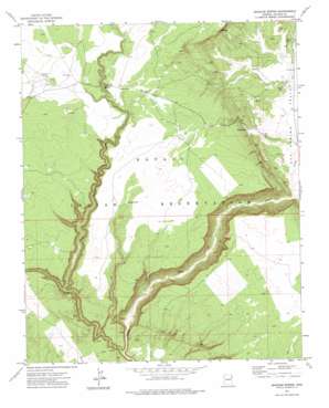 Uranium Spring USGS topographic map 35109d2