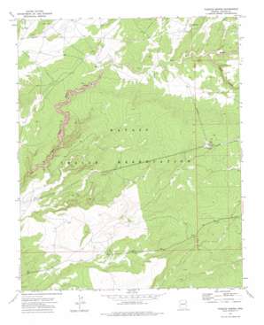 Tudecoz Spring USGS topographic map 35109e4