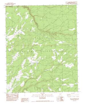 East of Kinlichee USGS topographic map 35109f3