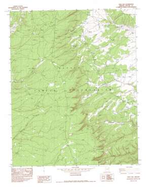 Piney Hill topo map