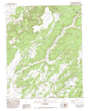 Red Clay Wash topo map