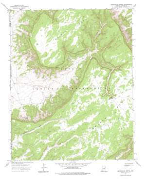 Beeshsikad Spring USGS topographic map 35109h8