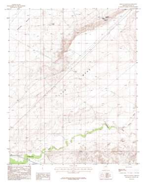 Rincon Ranch USGS topographic map 35110a5