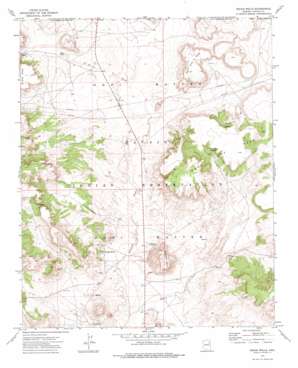 Indian Wells topo map