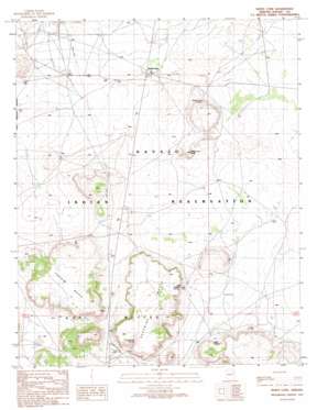 White Cone USGS topographic map 35110e1