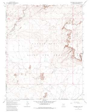 Monument Point topo map
