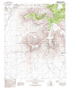 Shungopavi USGS topographic map 35110g5