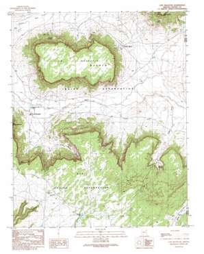 Low Mountain USGS topographic map 35110h1