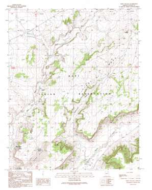 Wepo Village USGS topographic map 35110h3