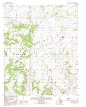 Onion Spring USGS topographic map 35110h4