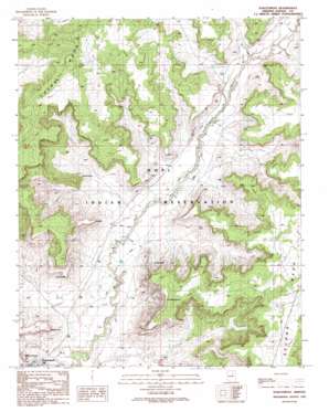 Oraibi USGS topographic map 35110h5