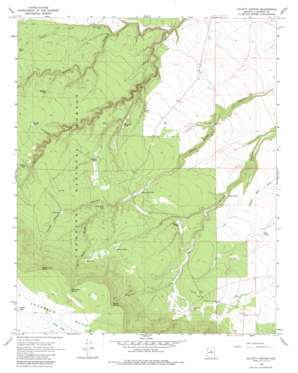 Elliott Canyon USGS topographic map 35111a3