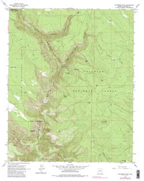 Sycamore Point topo map