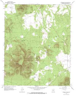 Kendrick Peak USGS topographic map 35111d7