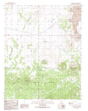 S P Mountain USGS topographic map 35111e6