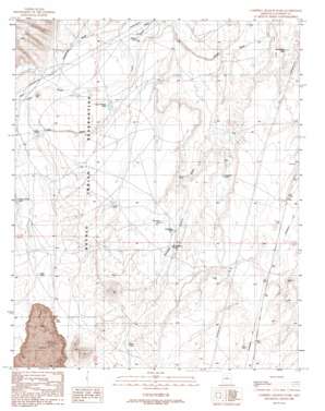 Campbell Francis Wash topo map