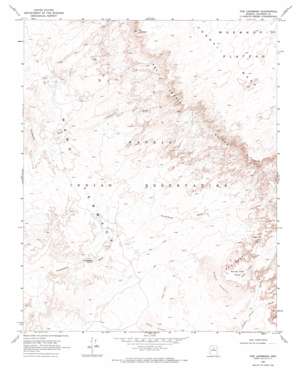The Landmark topo map