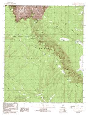 Grandview Point topo map