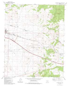 Seligman East topo map
