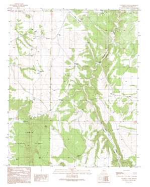 Cataract Tank USGS topographic map 35112d3