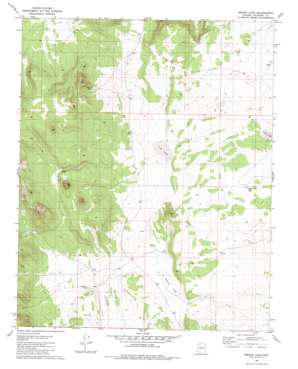 Bishop Lake USGS topographic map 35112e6
